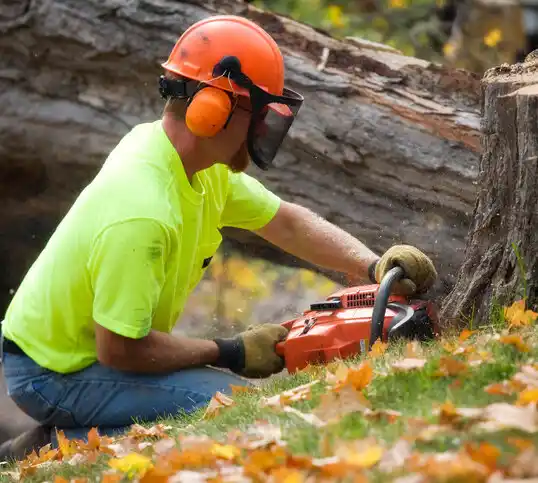 tree services Dawson